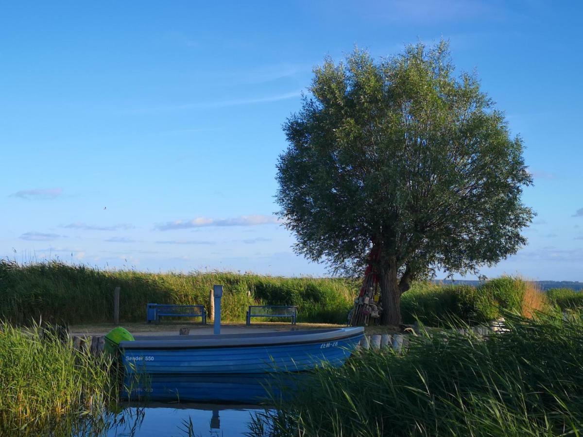 Fewo Seerose Zempin Exterior foto